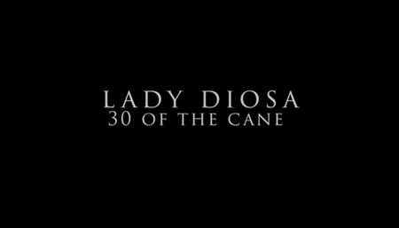 30 strokes of the cane