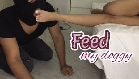 Feed my doggy