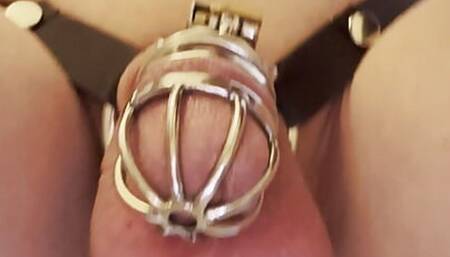 Goddess Sissy Assignment: Ass fucking witha BBC dildo in chastity cage