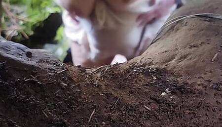 Fucking bbw wife outdoors.