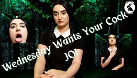 Wednesday Addams Wants Your Cock JOI