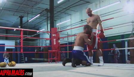 Alphamales - Sweaty Gay Threesome at the boxing club