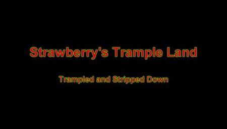 Trampled And Stripped Down