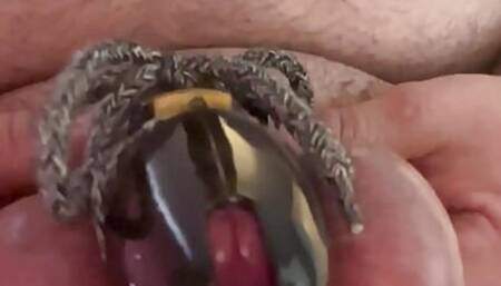 Chastity with ball bondage and extreme nipple clamps (crocodile clips)