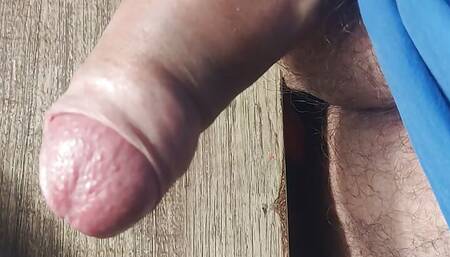 Masturbating bear 1