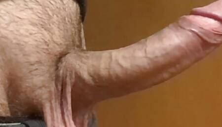 I touch my cock while I work and get so hard.