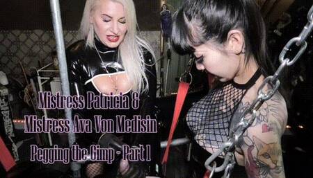 Pegging the Gimp with Mistress Ava Von Medisin - Part 1