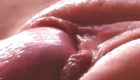 my stepsister shows her delicious pussy and I fuck her