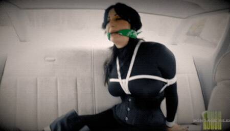 Nyxon A Lesson In Bargaining Full HD 720p MP4