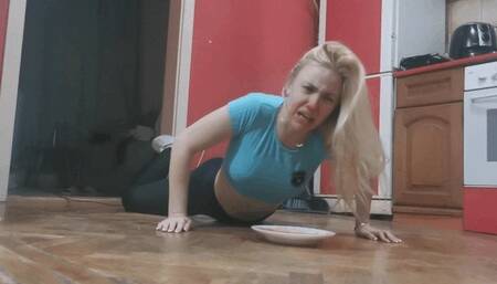 Burglar run into traps CUSTOM WMV