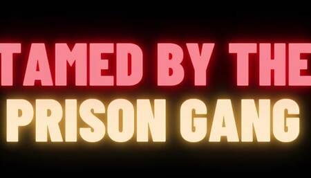 Prison Gang BDSM Slave Training Gangbang (M4M Gay Audio Story)