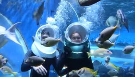 Perfect ass Thai girlfriend sex at home