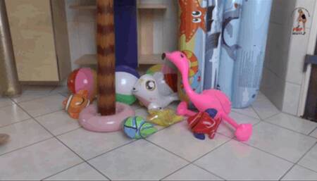 Inflatables under Nylons