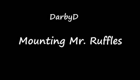 Mounting Mr Ruffles 2022
