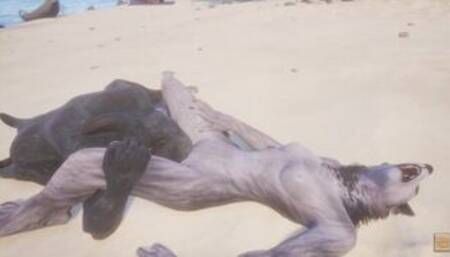 Wild Life / Rasha Furry Wolf Girl at the Beach