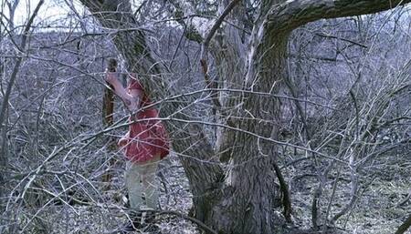 Accidental peeing in a tree