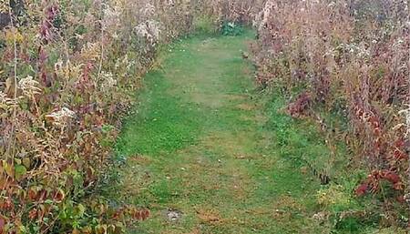 Nice fall day for a naked run