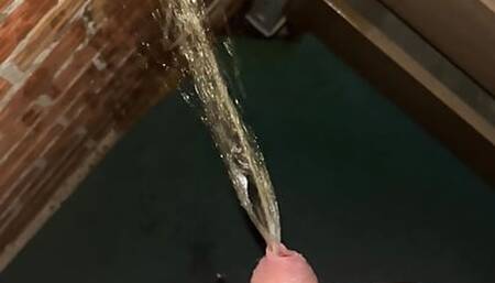 I peed on my balcony at midnight