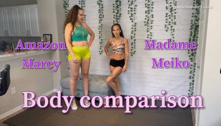 Size Comparison: Amazon Marcy vs Madame Meiko