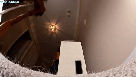 ACG STOMPS tiny homes FLAT! Part 3 - MP4