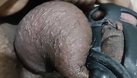 Locked in cobra chastity cage