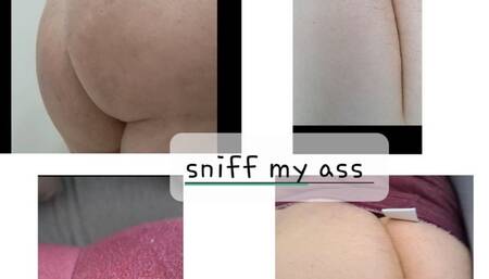 FART AS YOU ARE AS YOU WERE AS YOU WANT IT TO BE