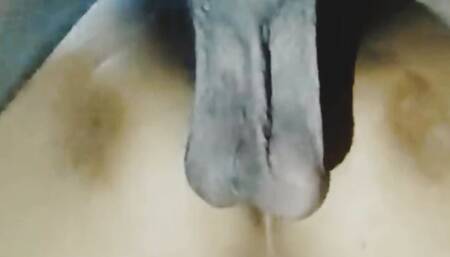 Bhaiya Ne Kiya Choda Desi Indian Closeup Fucking