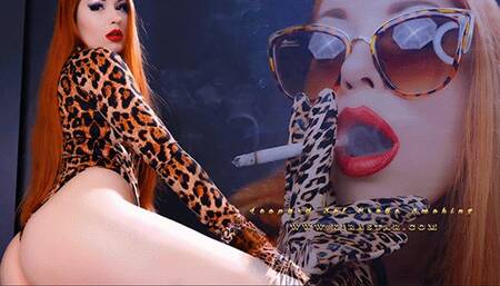 4K Leopard Set Erotic Smoking