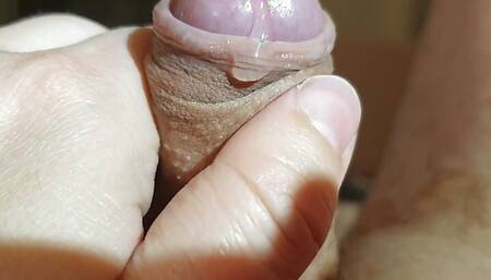 Morning Wood 1