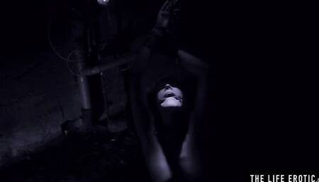 Well-made Tess Lyndon and Tracy Lindsay at group orgasm movie