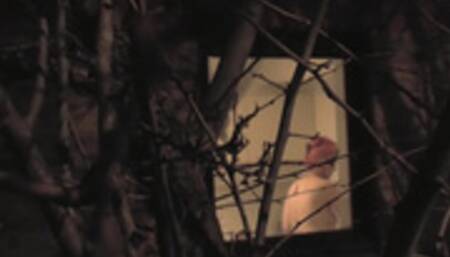 Policeman Gets American Anal Treat