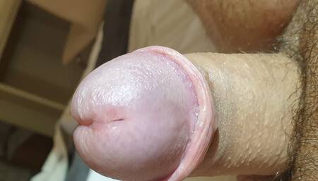 Morning Wood 4