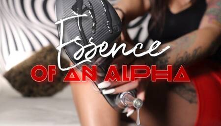 Essence Of An Alpha - 4K