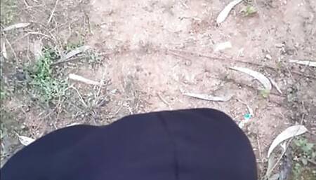safadeza na floresta