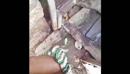 Pee for a friend