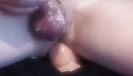 Polesta
