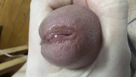 Orgasm of destruction