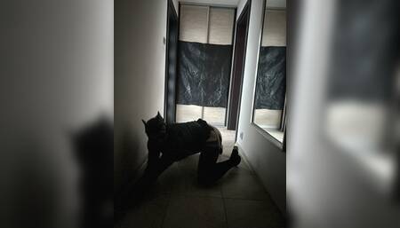 my little erotic adventure