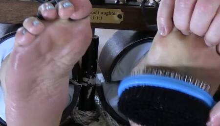 Holly Evergreen Stocked and Tickled