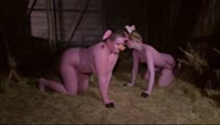 lovely pigs in the barn - wmv 720p