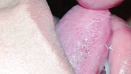 Horney Wife Sucking and Fucked CloseUp