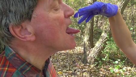 Pillaged at the Forest!