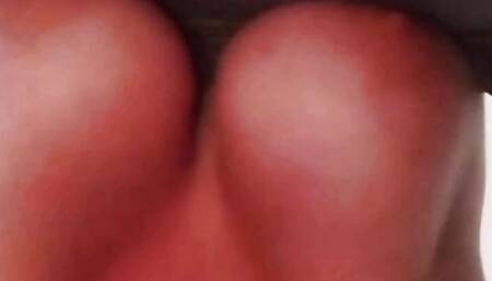 Les seins d'une chienne