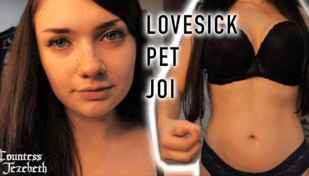 Lovesick Pet JOI