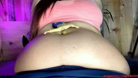 Absorbed by navel