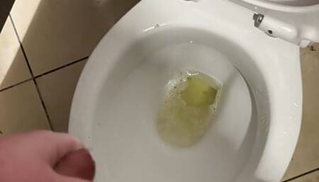 Wanking my hard cock off and shooting my cum all over the toilet