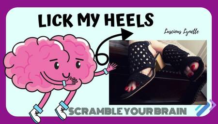 Lick My Heels, Scramble Your Brain