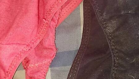 Which Pair Of My Wife Panties You Want