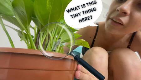 Is it an insect or a tiny one?