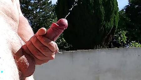 Georges abitbol